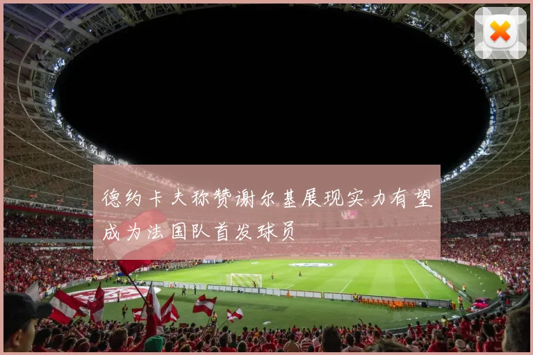 德约卡夫称赞谢尔基展现实力有望成为法国队首发球员